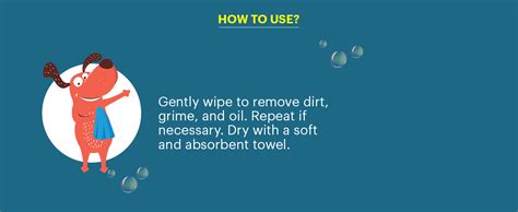 Buy Captain Zack Dog Spray Shampoo for All Breeds | Tick’et to Fleadom ...