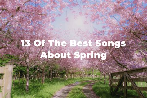Image result for Springy Music