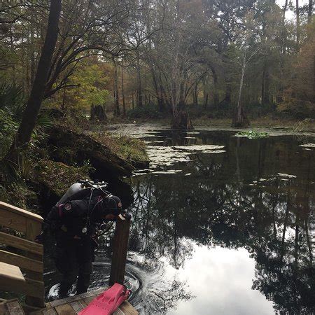Wes Skiles Peacock Springs State Park (Live Oak) - 2020 What to Know ...