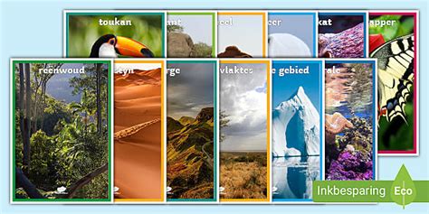 Diere Habitatte Vertoon Prente (teacher made) - Twinkl