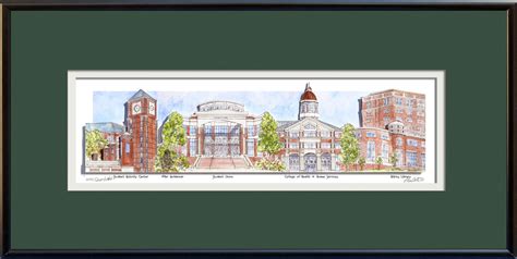 UNC Charlotte | Collegiate Legacy