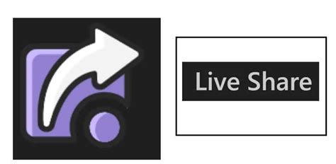 Image result for Visual Studio Code Share Live