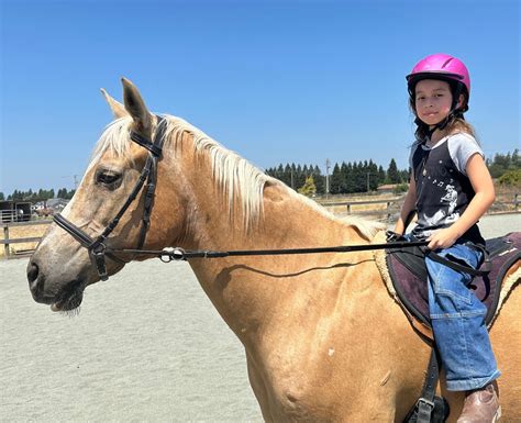 Student’s Work – Pegasus Riding School