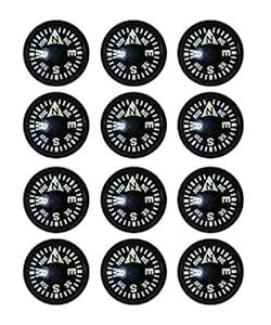 Buy Sun Company 893-A 18mm Luminous Compass Capsules - Pack of 12 ...