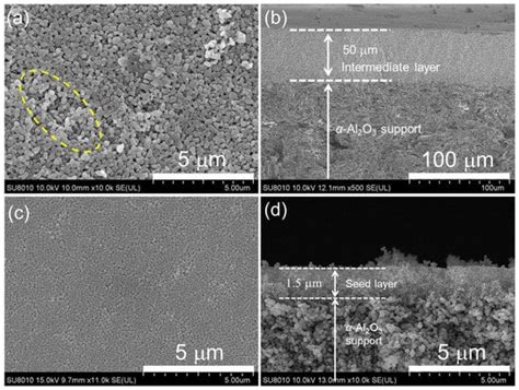 Pervaporation Dehydration Mechanism and Performance of High-Aluminum ...