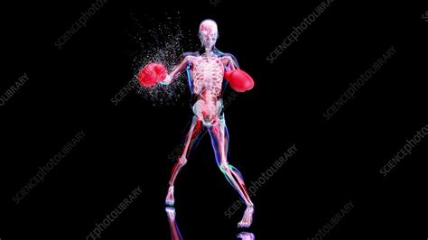 Image result for Boxer Engine Animation