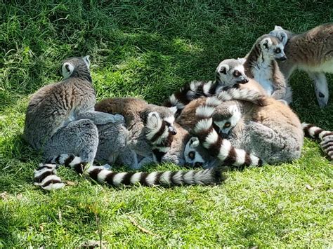 The best things to do in Blackpool with kids - MUMMYTRAVELS