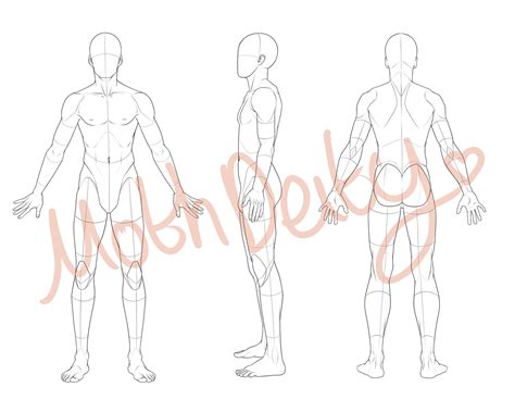 Image result for Basic Human Character Reference Image