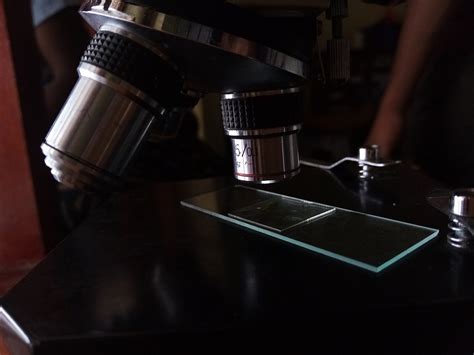 Image result for Science Microscope
