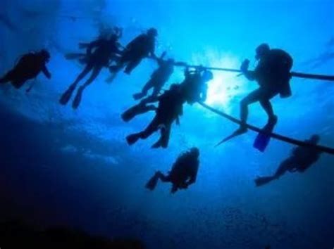 Ocean Experience Colombia (Taganga) - All You Need to Know BEFORE You Go