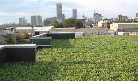 Siena Francis House - Rooftop Sedums