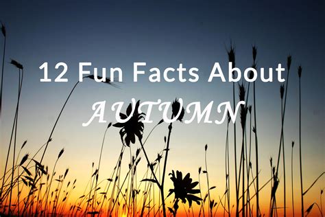 12 Fun Facts About Autumn | Hey Sunny Jess