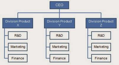 Divisional Structure Model 的图像结果