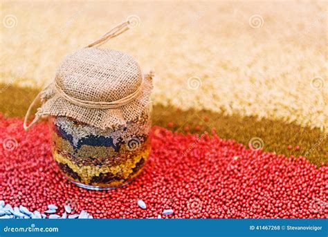 Agriculture Seeds 的图像结果