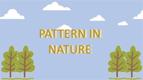 Image result for Math Nature Pattern