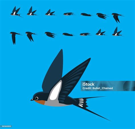 Image result for Bird Addiction Animation