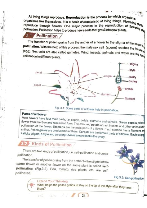 Image result for Class 10 Reproduction Shubham Pathak