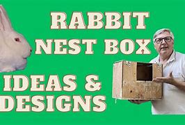 Image result for Rabbit in a Nest with Baby's Drawing