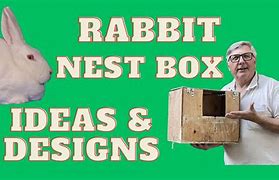 Image result for Rabbit Nest Box