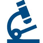 Prof. Gazala Habib: Department of Civil Engineering