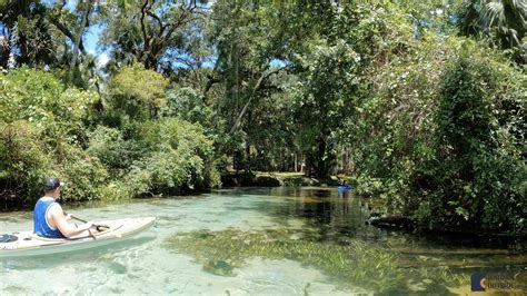 Kayaking and Paddle Boarding the Emerald Cut on the Rock Springs Run