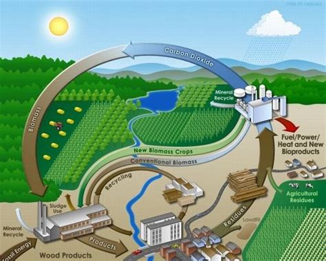 Bioenergy 的图像结果