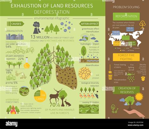 Deforestation Infographic Video