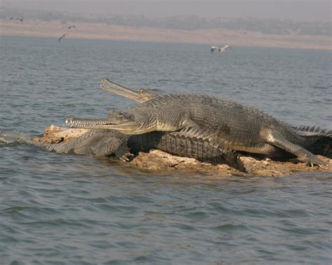 THE 10 BEST Parks & Nature Attractions in Agra (w/ Photos)