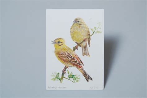 Adam Półtorak | Atelier