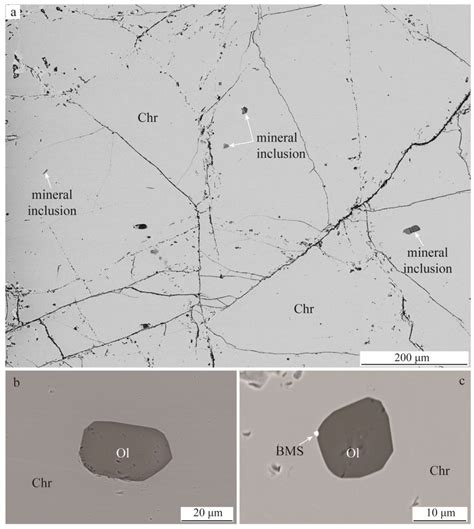 Genesis of the Sartohay Podiform Chromitite Based on Microinclusions in ...