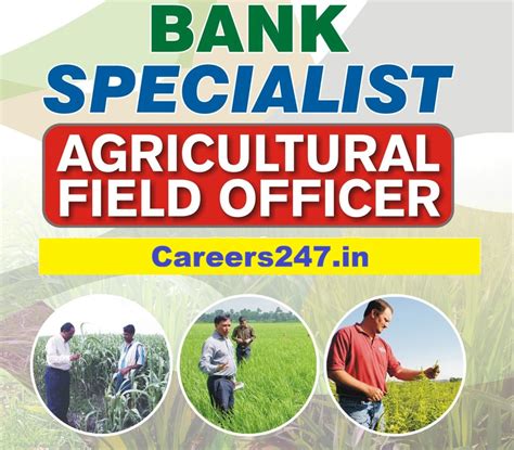 IBPS Agricultural Field Officer (AFO) Recruitment 2026 - Apply Online ...