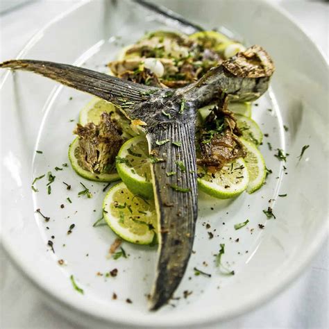 Image result for Blue Runner Fish Speed Video