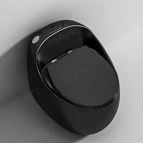 InArt One-Piece Black Glossy Rimless Toilet - Modern Design with Soft ...