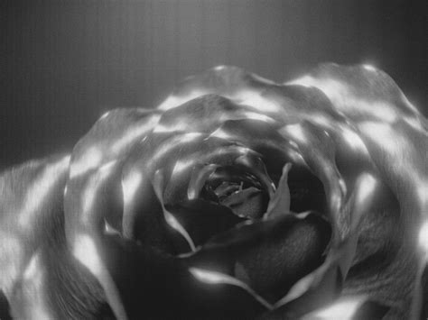 Image result for Grapefruit Method Real