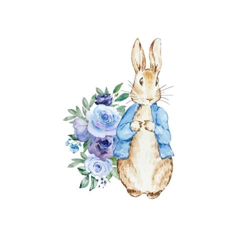 Image result for Rabbit SpO2