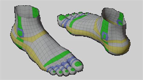 Modeling a Human Foot Topology Guides