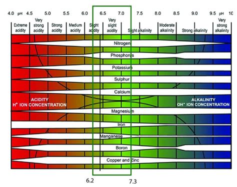 Image result for pH Level Basic Overview