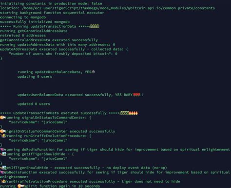 Bitcoin API JavaScript 的图像结果