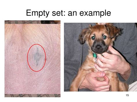 Proper Subset 的图像结果