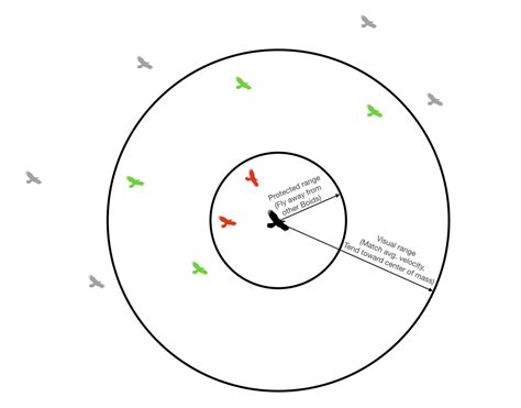 Image result for Boids Algorithm Python
