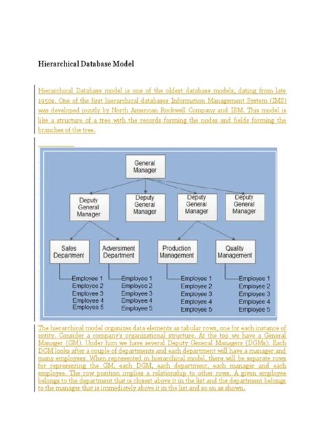 Network Model 的图像结果