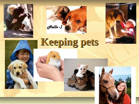 Презентация "Keeping pets" - скачать бесплатно