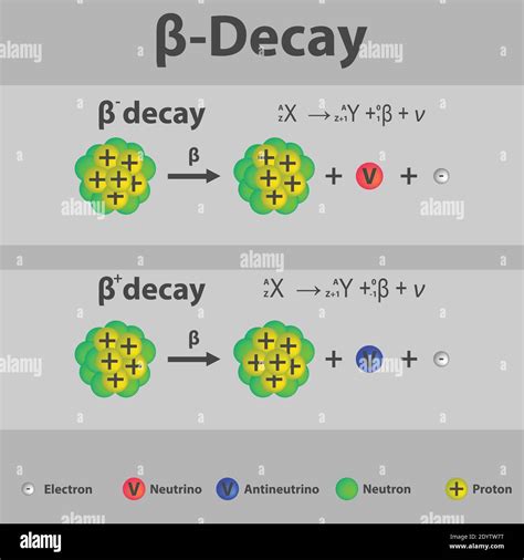 Radioactive Decay Equation