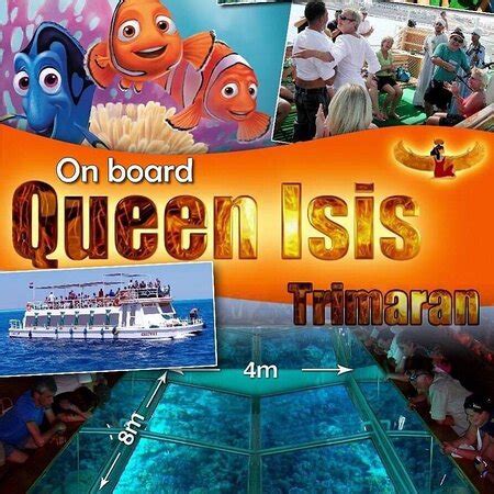 Queen Isis Trimaran - The WORLD’s 🌍 largest glass window for underwater ...