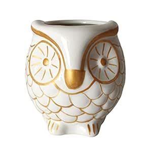 UrbanRoots Ceramic Owl Planter (3 inch) (White) : Amazon.in: Garden ...