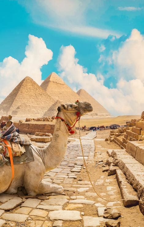 Voli per Il Cairo | Scopri le migliori offerte | Neos Air