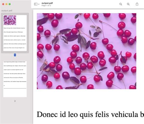 Image result for HTML Generate PDF JavaScript with Picture