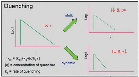 Fluorescence Lifetime Techniques: TCSPC, FRET, TRES, SSTD and more