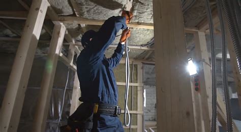 Biomedical Engineer vs Electrical Engineer 的图像结果