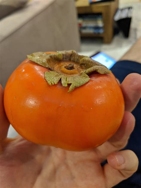 Persimmons are in season for a few months. They look like a tomato ...